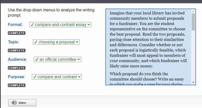 Use the drop-down menus to analyze the writing prompt. format: