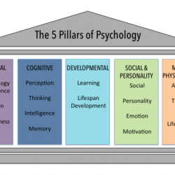 Unit 1 psychology's history and approaches answer key