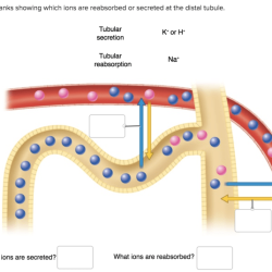 Groove gland axial satisfying