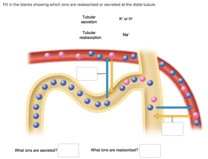 Groove gland axial satisfying